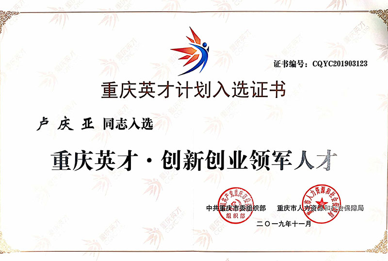 新闻资讯